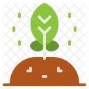 Seedling Plant Nature Icon