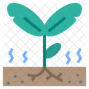 Seedling Sprout Growth Icon