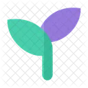 Seedling Seed Leaf Icon