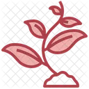 Seedling Icon