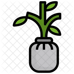 Seedling  Icon