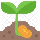Seedling Sprout Seed Icon