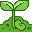 Seedling Icon