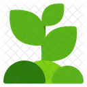 Seedling Plant Sprout Icon