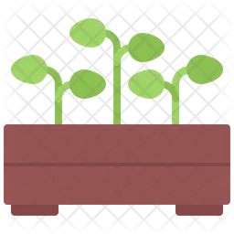 Seedling Box  Icon