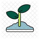 Seedling Plant Environment Icon