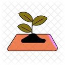 Seedling Plant Environment Icon