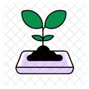 Seedling Plant Environment Icon