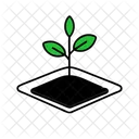 Seedling Plant Environment Icon