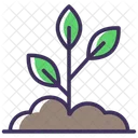 Seedling Icon