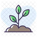 Seedling Icon