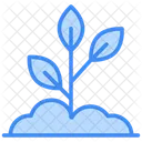 Seedling Icon