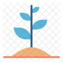 Seedling Planting Gardening Icon