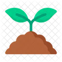 Seedling Sprout Plant Icon