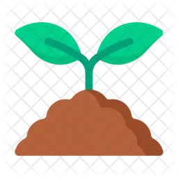 Seedling  Icon