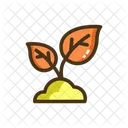 Seedling Plant Seedling Plant Icon