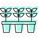 Seedling Nursery Seedling Nursery Icon