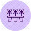 Seedling Nursery Seedling Nursery Icon