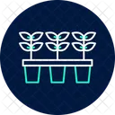 Seedling Nursery Seedling Nursery Icon