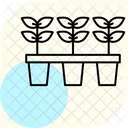 Seedling Nursery Seedling Nursery Icon