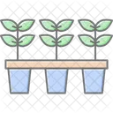 Seedling Nursery Seedling Nursery Icon