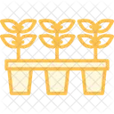Seedling Nursery Seedling Nursery Icon