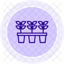 Seedling Nursery Seedling Nursery Icon