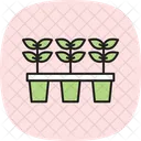Seedling Nursery Seedling Nursery Icon