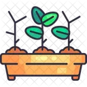 Seedling Tray Icon