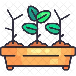Seedling Tray  Icon