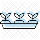 Seedling Tray Garden Icon