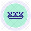 Seedling Tray Seedling Tray Icon