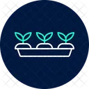 Seedling Tray Seedling Tray Icon