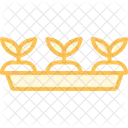 Seedling Tray Seedling Tray Icon