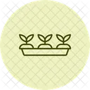 Seedling Tray Garden Icon