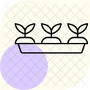 Seedling Tray Seedling Tray Icon