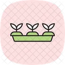 Seedling Tray Icon