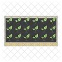 Seedlings Raised Bed Garden Bed Icon