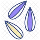 Seeds Food Healthy Icon