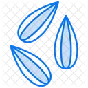 Seeds  Icon