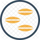 Seeds Seed Food Icon