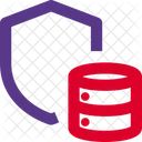 Seguridad de la base de datos  Icon