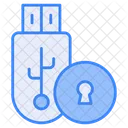 Seguridad USB Unidad Computadora Icon