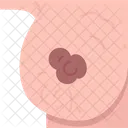 Seios  Ícone