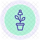 Self Growth Line Icon Icon