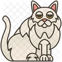 Selkirk Cat  Icon