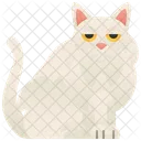 Selkirk Cat  Icon