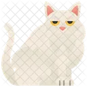 Selkirk-Katze  Symbol