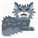 Selkirk Rex Cat  Icon