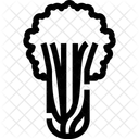 Sellerie  Symbol